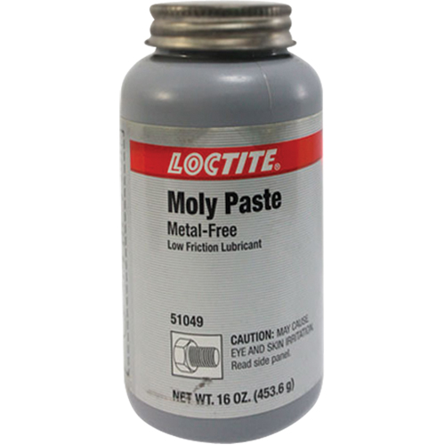 P&acirc;te en moly, 518 g, 750°F (400°C) temp&eacute;rature efficace max. - Loctite 226696