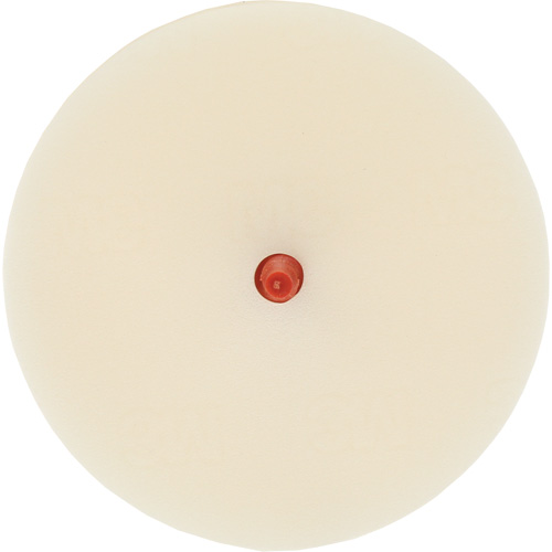 Disque pour enlever les bandes et les adh&eacute;sifs pour moulures Scotch-Brite, 4" dia. - 3M SB07501