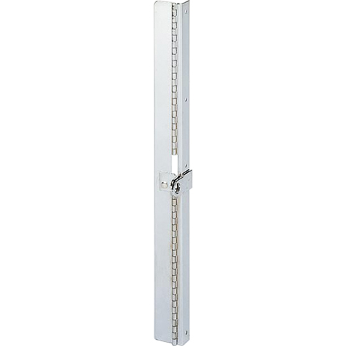 Compartment Box Cabinet Locking Hinge - Durham Manufacturing 312