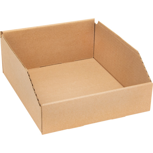 Boîtes profondes en carton ondul&eacute;, 9-3/4" la x 11-1/4" p x 4-1/2" h, Beige - Mitchel Lincoln MLCG173