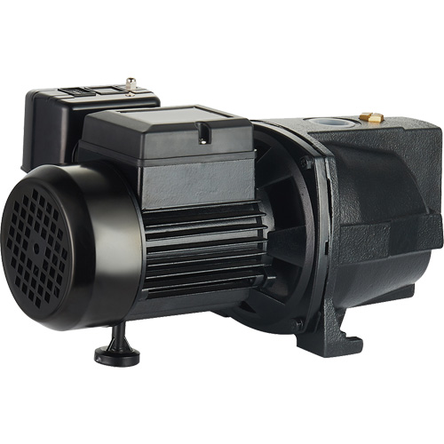 Pompe &agrave; jet en fonte &agrave; double tension pour puit peu profond, 115 V/230 V, 1100 gal./h, 1 CV - LEO UJM100-1