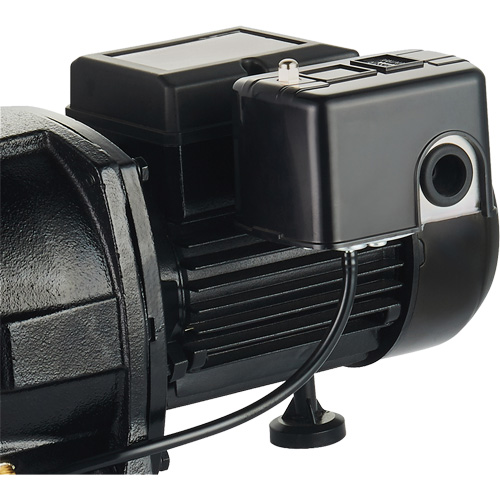 Pompe &agrave; jet en fonte &agrave; double tension pour puit peu profond, 115 V/230 V, 1100 gal./h, 1 CV - LEO UJM100-1