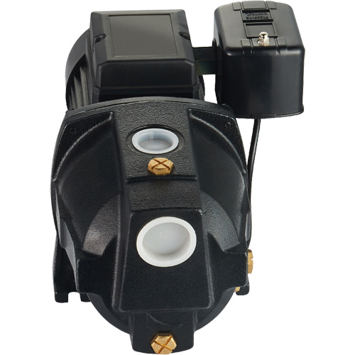 Pompe &agrave; jet en fonte &agrave; double tension pour puit peu profond, 115 V/230 V, 1100 gal./h, 1 CV - LEO UJM100-1