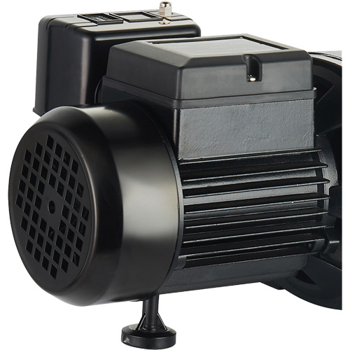 Pompe &agrave; jet en fonte &agrave; double tension pour puit peu profond, 115 V/230 V, 1100 gal./h, 1 CV - LEO UJM100-1