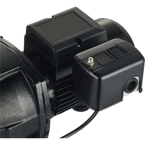 Pompe &agrave; jet en fonte &agrave; double tension pour puit peu profond, 115 V/230 V, 1100 gal./h, 1 CV - LEO UJM100-1