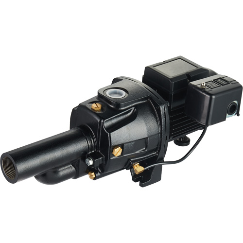 Pompe &agrave; jet en fonte &agrave; double tension transformable, 115 V/230 V, 1100 gal./h, 1/2 CV - LEO UDPM50-1