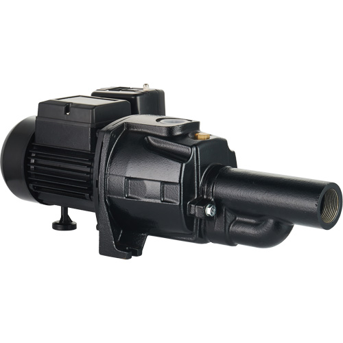 Pompe &agrave; jet en fonte &agrave; double tension transformable, 115 V/230 V, 1100 gal./h, 1/2 CV - LEO UDPM50-1