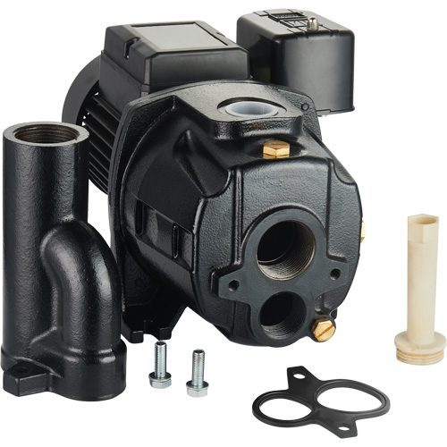 Pompe &agrave; jet en fonte &agrave; double tension transformable, 115 V/230 V, 1100 gal./h, 1/2 CV - LEO UDPM50-1