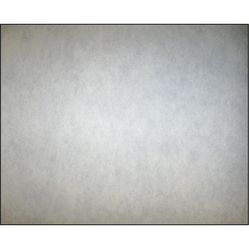 High-Arrestance Synthetic Media Filters, Pad, MERV 2, 24" W x 1" D x 12" H - Camfil 11983-001
