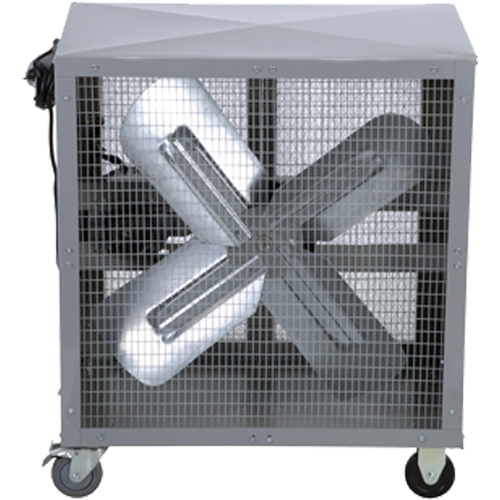 Direct Drive Heavy-Duty Mobile Filtered Fan, 2 Speeds - Air Master 39191
