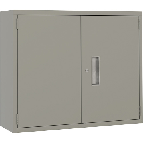 Armoire murale, Acier, 2 Tablettes, 30" h x 36" la x 12" P, Gris - Perfix Inc. 88 R 18-12-9363
