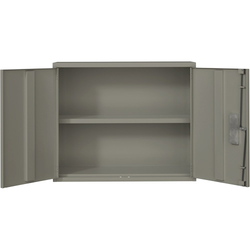 Armoire murale, Acier, 2 Tablettes, 30" h x 36" la x 12" P, Gris - Perfix Inc. 88 R 18-12-9363