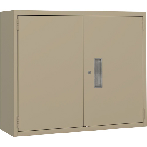 Wall Mounted Cabinet, Steel, 2 Shelves, 30" H x 36" W x 12" D, Beige - Perfix Inc. 88 R 18-12-9393