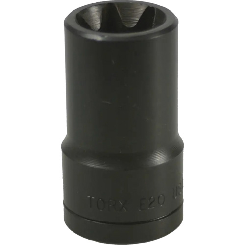 Douille Torx&reg; E-20 - LISLE 26870
