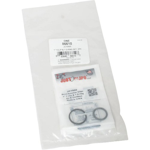 Jeu de clips et joints toriques de 1 po - en vrac - LISLE 86610