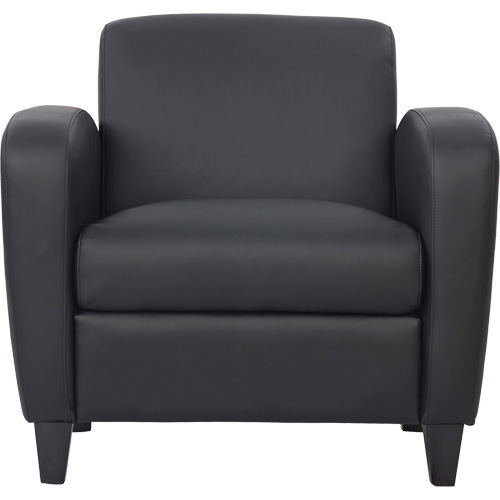 Activ Soft Seating Club Chair - Horizon Seating A-304-1