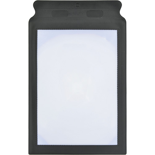 Loupe de lecture - BIOS 57022