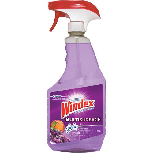 Windex&reg; Multi-Surface Cleaner, 765 ml, Trigger Bottle - SC Johnson 10059200707957