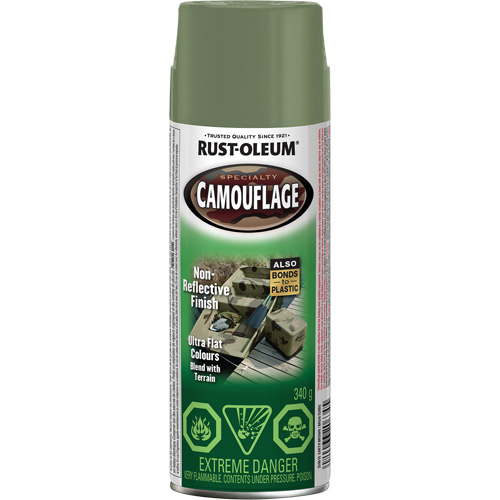 Peinture de camouflage Sp&eacute;cialit&eacute;, Canette a&eacute;rosol, Brun terre - Rust-Oleum 259515