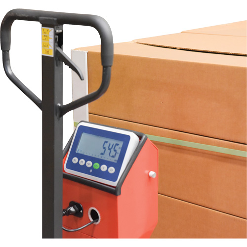 Pallet Truck, 48" L x 27.5" W, 5000 lbs. Cap. - Vestil PM-2748-SCL-LP