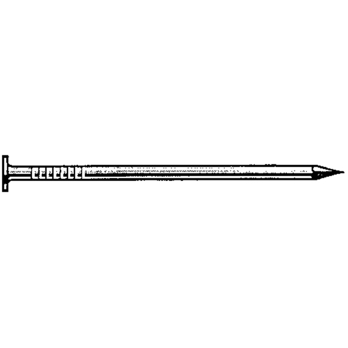 Common Hot Dip Galvanized Nails - Duchesne 23622506