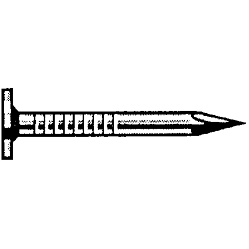 Roofing Bright, 7/16" Head Nails - Duchesne 26800706