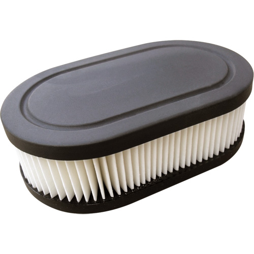 Cartouche-filtre ovale pliss&eacute;e pour purificateur d'air Briggs & Stratton -  