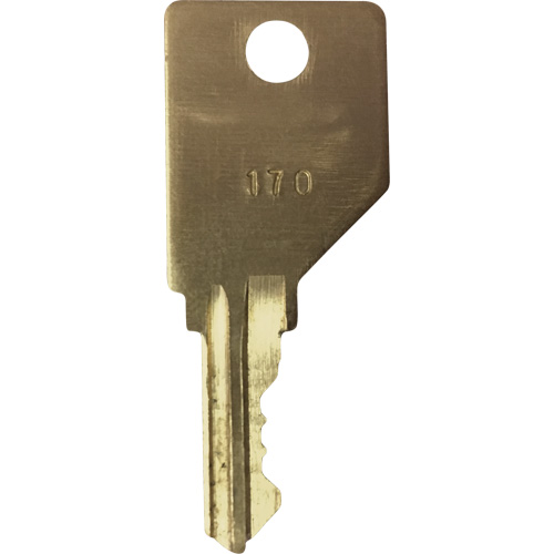 Replacement Key for Frost Smoking Receptacles - Frost C550