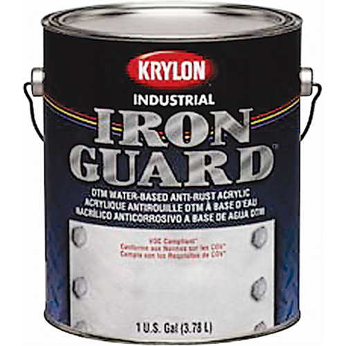 &eacute;mail industriel &agrave; base d'eau Iron Guard, Canette, Gris - Krylon Industrial K11001802-16