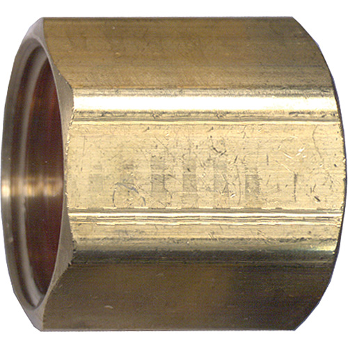 Raccord de tuyau, Laiton, 3/4' - Fairview Fittings 198-E