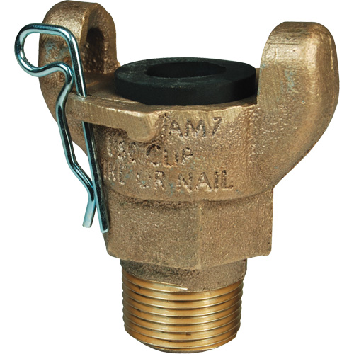 Embout Air King, Laiton, 1/2", NPT m&acirc;le, 150 psi - Dixon Group AB2