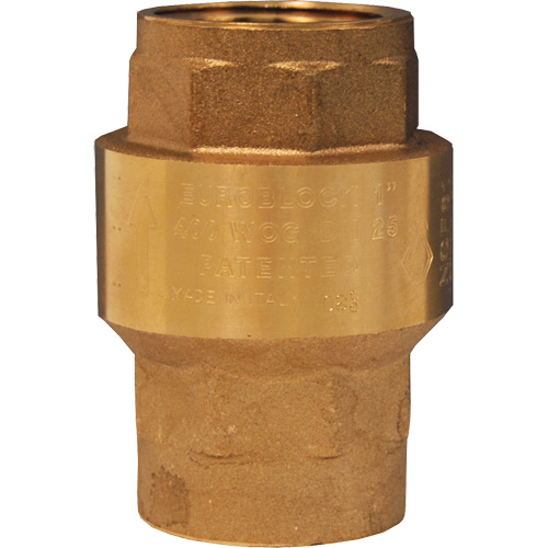 Spring-Loaded Check Valve - Dixon Group CV075