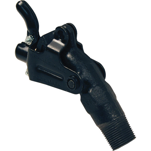 Robinet-vanne pour baril, Fonte, NPT 2" - Dixon Group D75