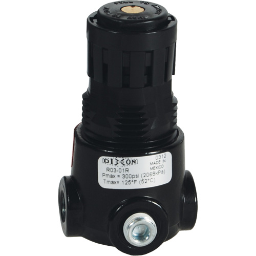 R&eacute;gulateur miniature R03 Wilkerson, 1/4" NPT, PSI max. de 300 psi, Standard - Dixon Group R03-02R