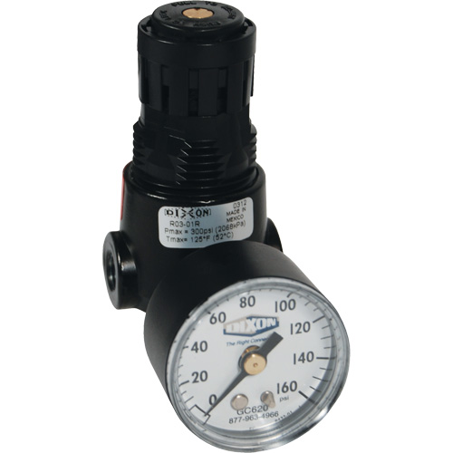Wilkerson Miniature Regulator R04, 1/4" NPT, 300 psi Max. PSI, Standard - Dixon Group R03-02RG