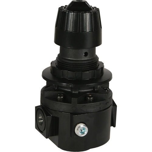 Wilkerson Regulator R26, 3/8" NPT, 300 psi Max. PSI, Standard - Dixon Group R26-03R