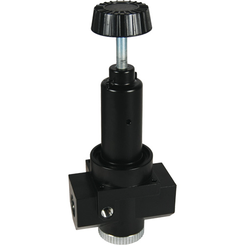 Wilkerson High Flow Regulator R30, 1" NPT, 300 psi Max. PSI, Standard - Dixon Group R30-08R