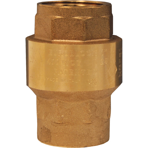 Horizontal Swing Check Valve - Dixon Group SWCV100