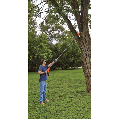 Max* Cordless Pole Pruning Saw Kit - Black & Decker LPP120-CA