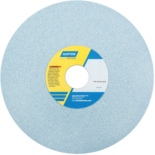 Tool Room Wheel, Type 01, Ceramic Alumina, 10" x 1" - Norton 66253160401