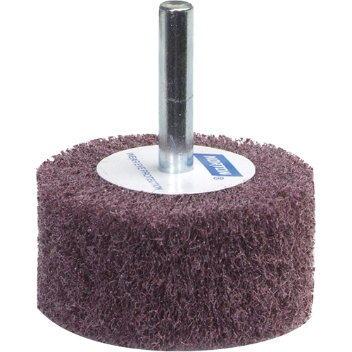 Meule &agrave; lamelles abrasives Bear-Tex, Oxyde d'aluminium, Grain 120, 3" x 1" x 1/4" - Norton 66261051718
