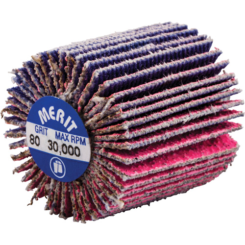 Mini-meule &agrave; lamelles filet&eacute;es, C&eacute;ramique d'alumine, Grain 80, 1" x 1" x 1/4"-20 - Norton 69957339720