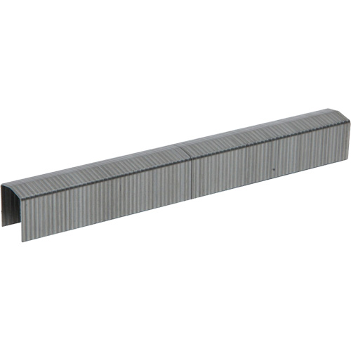 Agrafes robustes PowerCrown, Calibre 16, Couronne 7/16", Longueur 1/2" - Stanley Bostitch STCR50191/2-4M