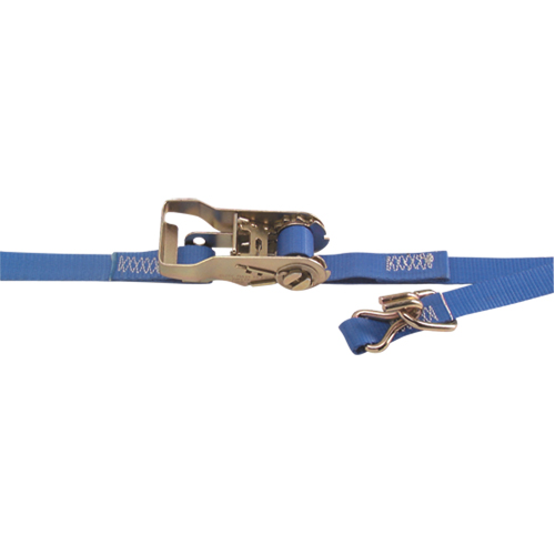Tendeurs d'arrimage robustes, Rochet, 1" la x 16' lo, Charge d'utilisation 835 lb (380 kg) - Kinedyne 711681/45PK