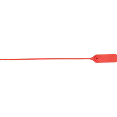 Scell&eacute; de s&eacute;curit&eacute; robuste, 13", Plastique, Scell&eacute; &agrave; tirer - KLETON 