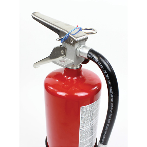 Extincteur d'incendie, ABC, Capacit&eacute; 10 lb - Strike First Corporation SFABC680