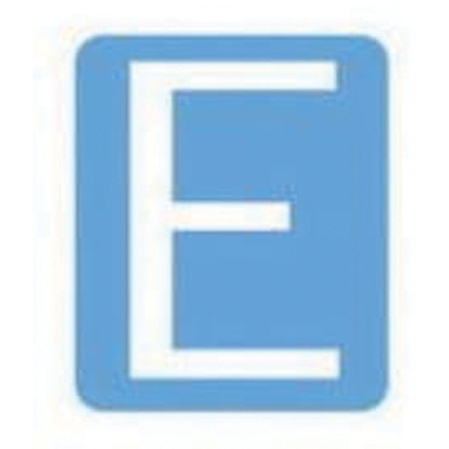 Quick-Align&reg; Individual Gothic Number and Letter Labels, E, 6" H, White - Brady 5210P-E