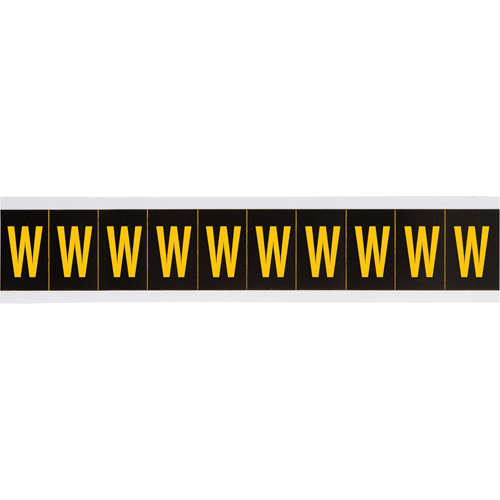 Individual Number & Letter Labels, W, 2" H, Yellow on Black - Brady 7897-W