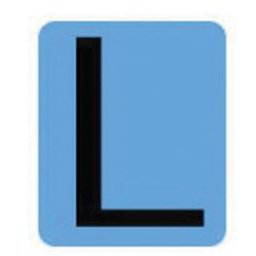 Condensed Quick-Align&reg;Individual Gothic Number and Letter Labels, L, 2" H, Black - Brady 6450P-L