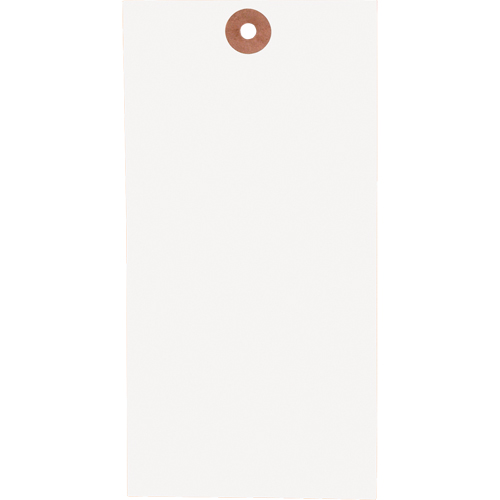 Blank Tags, Tyvek, 2-5/8" W x 5-1/4" H -  